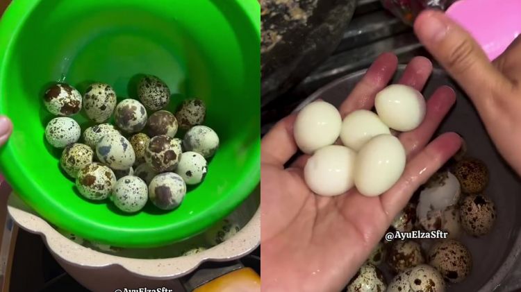 Sering rebus telur puyuh tapi kulitnya sulit dikupas? Coba pakai trik ini biar hasilnya lebih mulus
