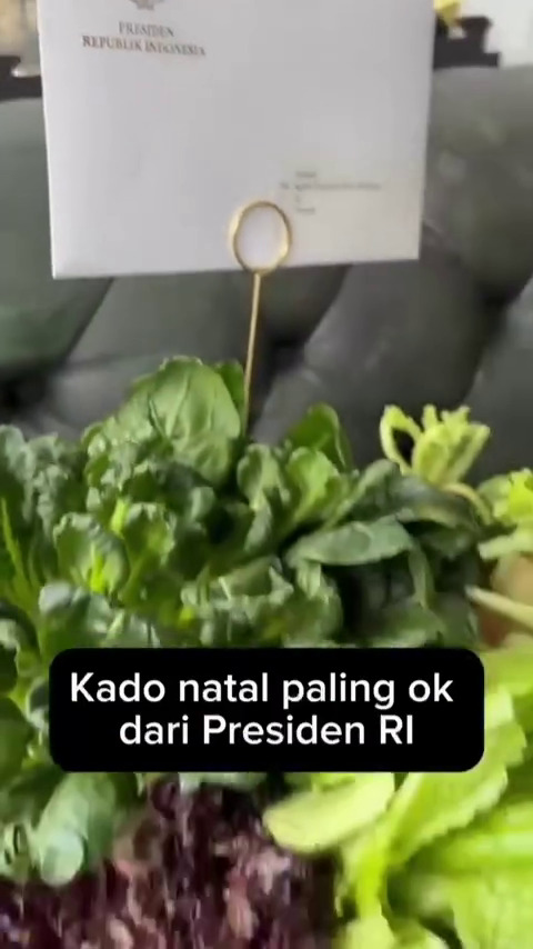 Hotman Paris dapat hadiah Natal dari Prabowo Subianto, isinya bikin salfok, ini 7 potretnya