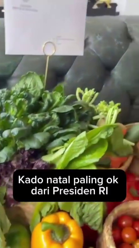 Hotman Paris dapat hadiah Natal dari Prabowo Subianto, isinya bikin salfok, ini 7 potretnya