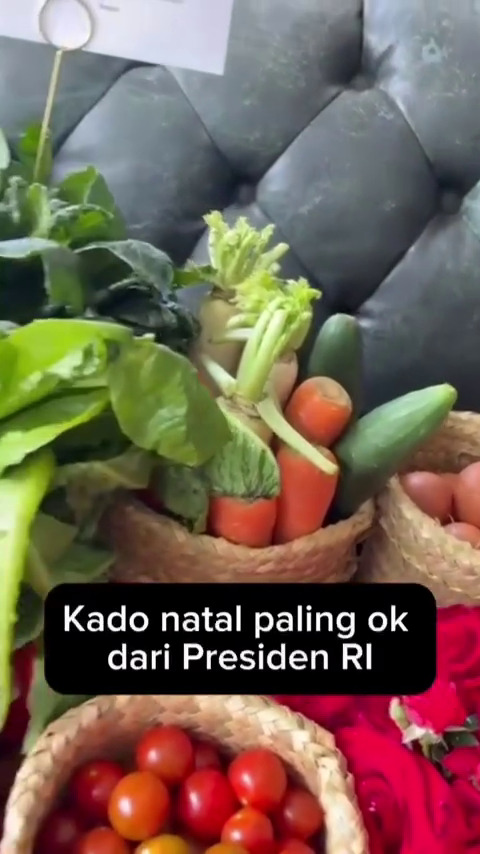 Hotman Paris dapat hadiah Natal dari Prabowo Subianto, isinya bikin salfok, ini 7 potretnya