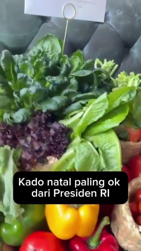 Hotman Paris dapat hadiah Natal dari Prabowo Subianto, isinya bikin salfok, ini 7 potretnya