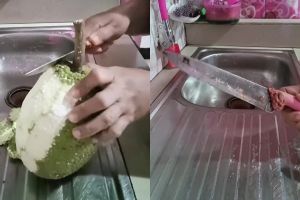 Bukan dicuci, ini cara menghilangkan getah sukun di pisau agar tak bikin lengket