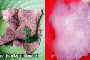 Stok baking soda sedang habis? Coba pakai 1 bumbu dapur ini jika ingin cuci lap dapur dekil