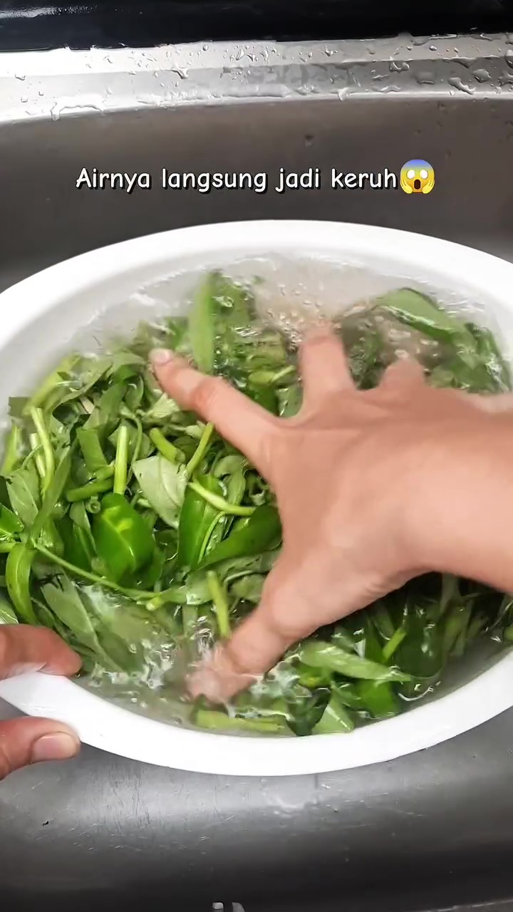Salah cuci kangkung bisa bikin hasil masakan jadi lembek dan warnanya menghitam! Atasi dengan trik ini