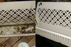 Trik bersihkan rak sabun dekil berlumut ini bikin nodanya luntur dalam sekali usap pakai 1 bahan dapur