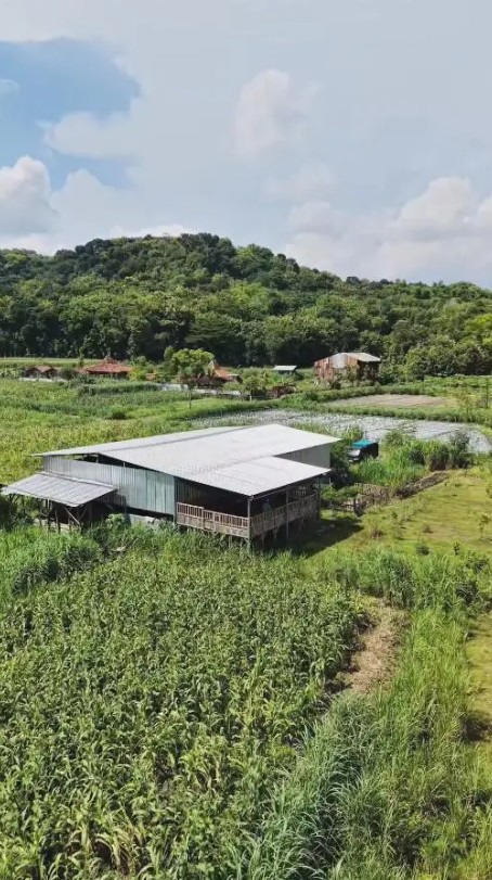 Berawal dari suka makan kambing, Ditto dan Ayudia kini punya peternakan di Klaten, ini 9 potretnya