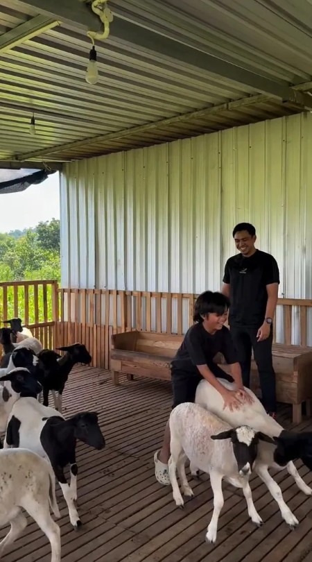 Berawal dari suka makan kambing, Ditto dan Ayudia kini punya peternakan di Klaten, ini 9 potretnya