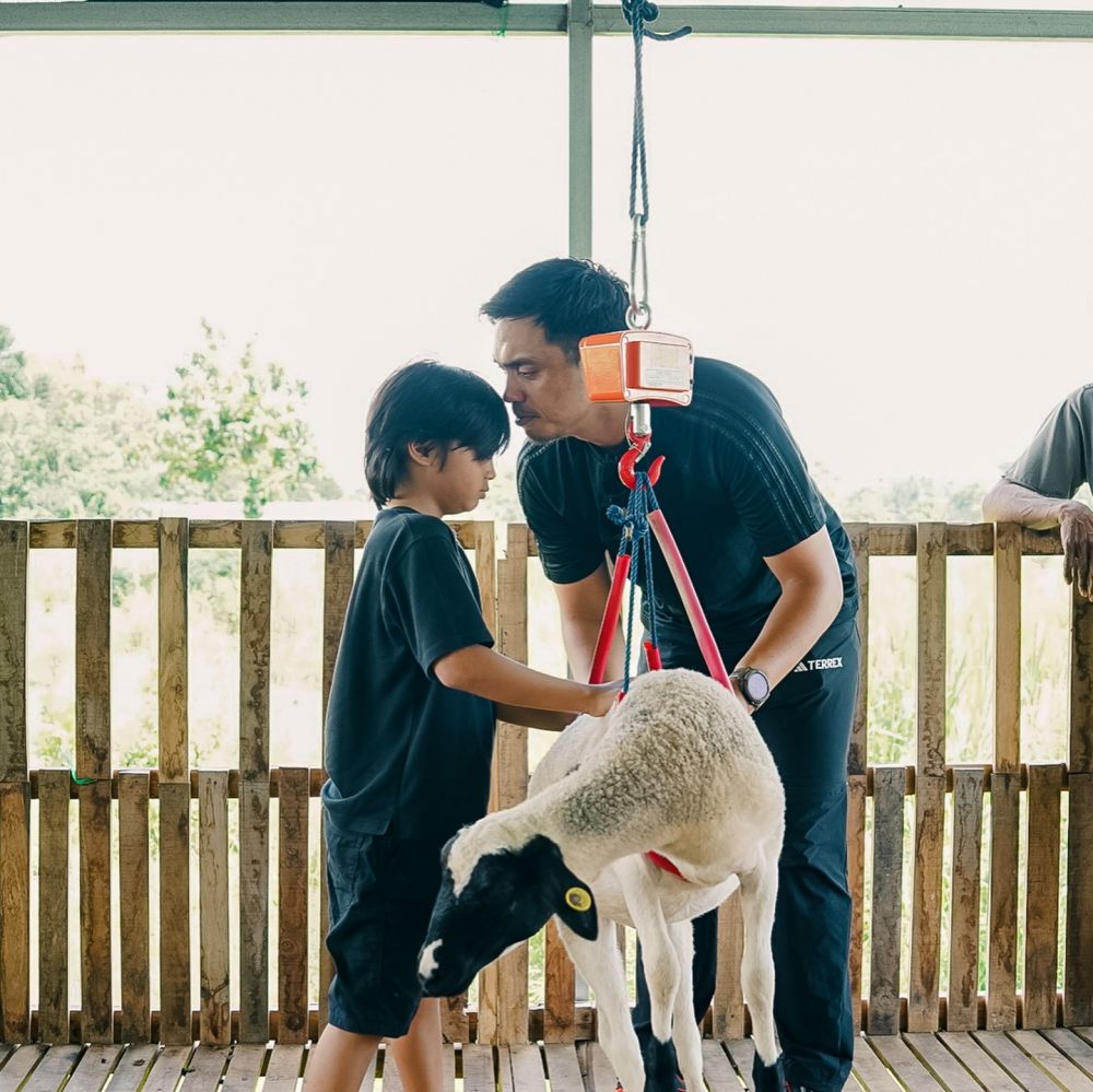 Berawal dari suka makan kambing, Ditto dan Ayudia kini punya peternakan di Klaten, ini 9 potretnya