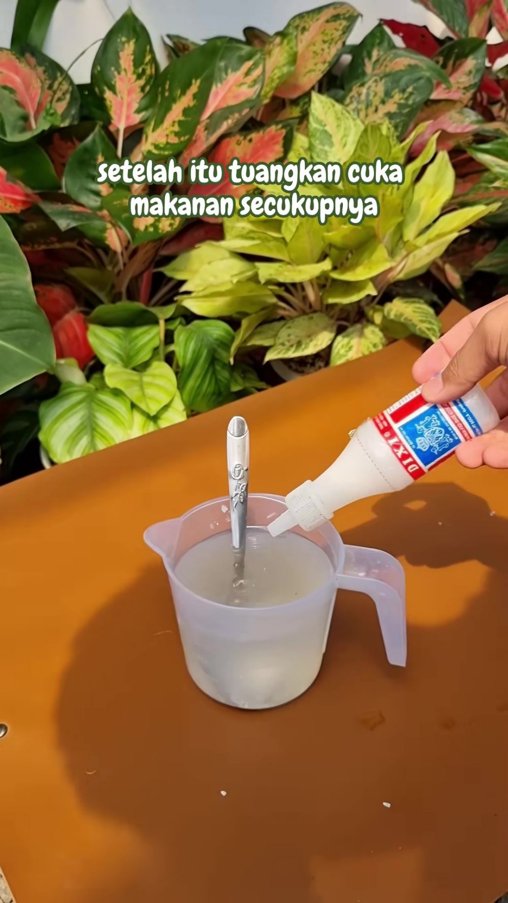Tanamanmu hampir mati dan daunnya menguning? Segera semprot campuran 3 bahan dapur ini agar subur lagi
