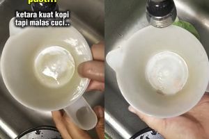 Cara basmi kerak teh di teko plastik dengan 1 bahan sederhana, hasilnya auto kinclong seperti baru