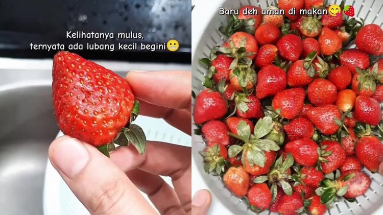 Jangan cuma pakai air, ini trik cuci buah stroberi agar bebas kotoran, pestisida, dan hama