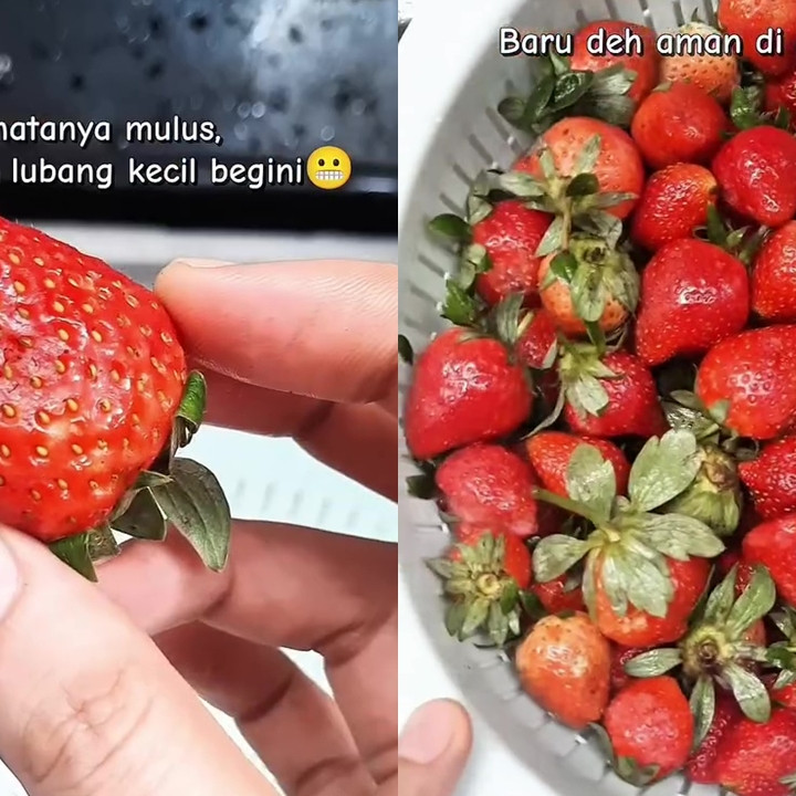 Jangan cuma pakai air, ini trik cuci buah stroberi agar bebas kotoran, pestisida, dan hama