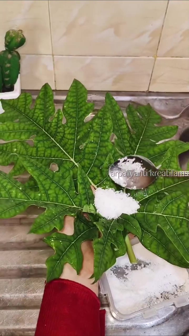 Dapat trik dari penjual ikan, wanita ini bagikan hacks usir lalat di meja makan pakai bahan dapur