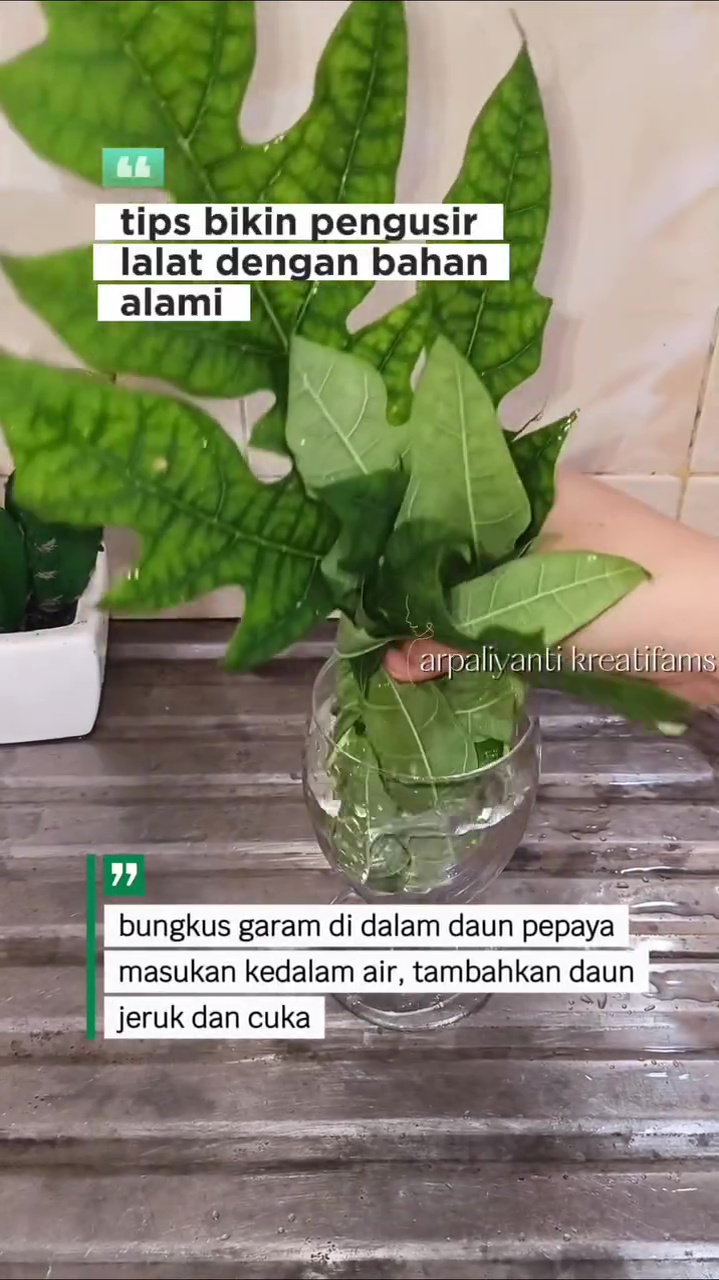 Dapat trik dari penjual ikan, wanita ini bagikan hacks usir lalat di meja makan pakai bahan dapur