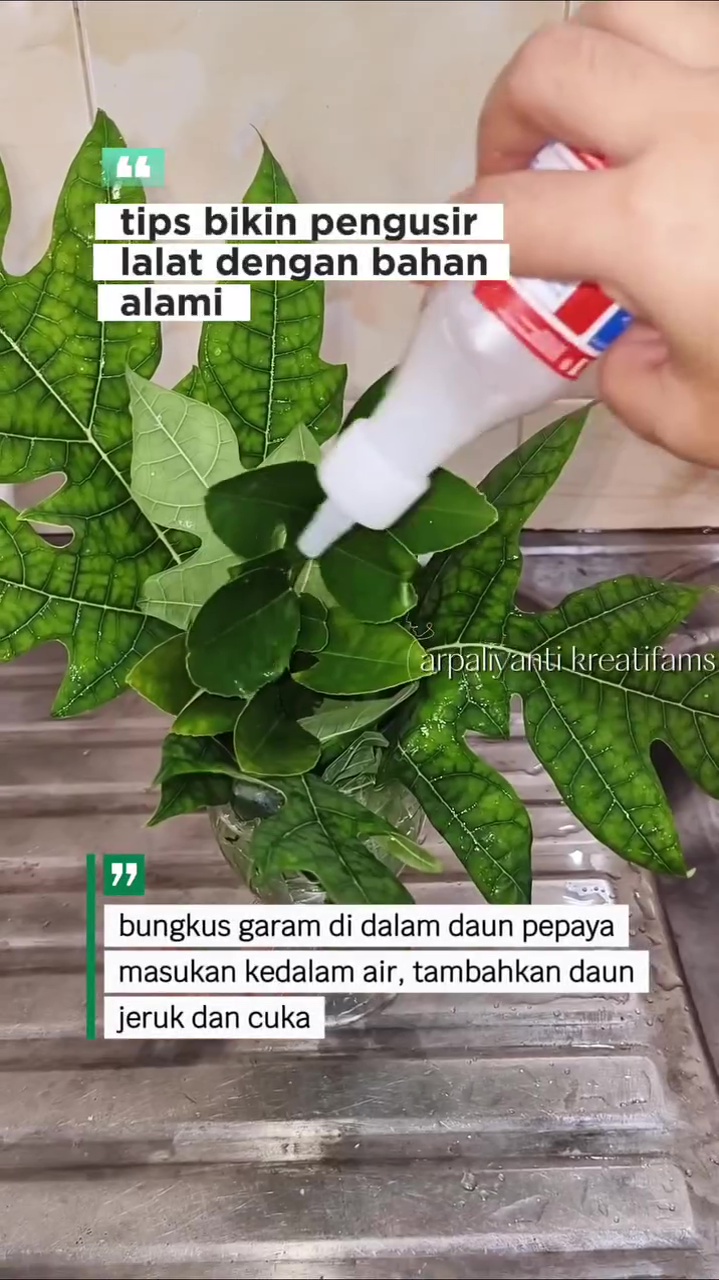 Dapat trik dari penjual ikan, wanita ini bagikan hacks usir lalat di meja makan pakai bahan dapur