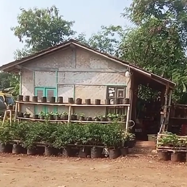 Rumah gubuk dari luar tampak reyot ternyata dalamnya mewah, ini 9 potretnya bikin terkecoh