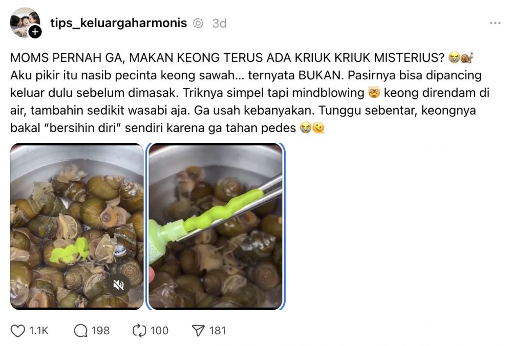 Cara membersihkan keong sawah agar bebas pasir dan bau amis, tanpa pakai wasabi