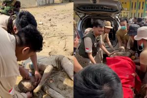 Detik-detik Praja IPDN temukan warga Aceh Tamiang tergeletak lemah di lumpur, gerak cepat bahu-membahu
