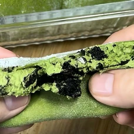 5 Resep mochi daifuku dari kacang merah hingga matcha, manis dan super kenyalnya bikin puas lidah
