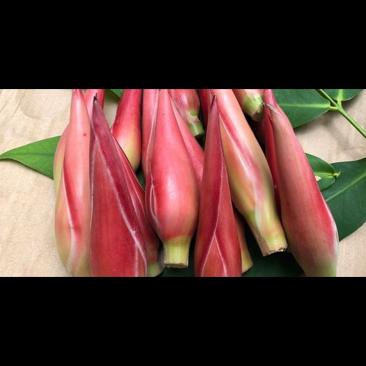 Trik mengolah batang kecombrang, sensasi asam segar tanpa aroma langu