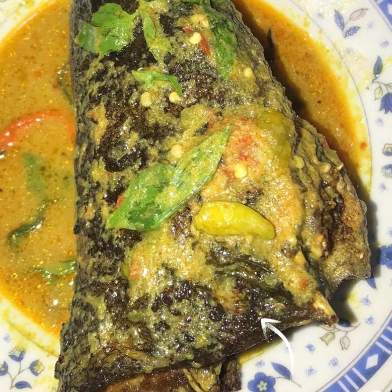 9 Resep olahan ikan patin pedas dari balado yang nendang hingga mangut kemangi yang wangi menggoda