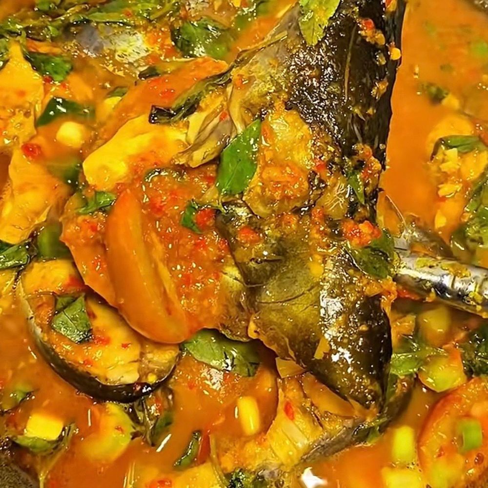 9 Resep olahan ikan patin pedas dari balado yang nendang hingga mangut kemangi yang wangi menggoda