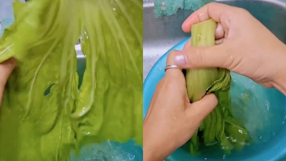 Cara mengolah sawi pahit tanpa rasa pahit berlebih, singkirkan alat potong ini