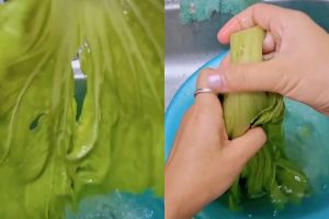 Cara mengolah sawi pahit tanpa rasa pahit berlebih, singkirkan alat potong ini