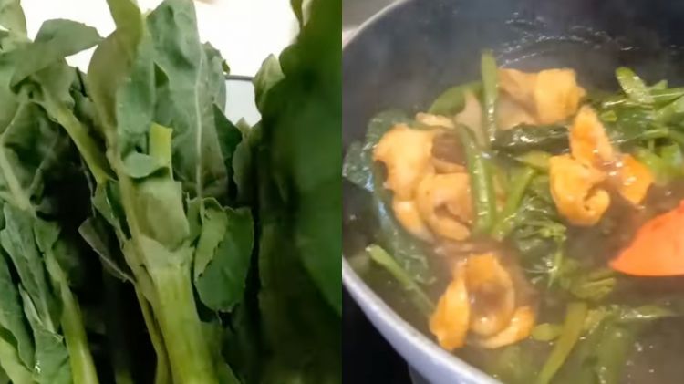 Trik masak kailan agar tidak pahit, rahasia sayur tetap hijau dan renyah