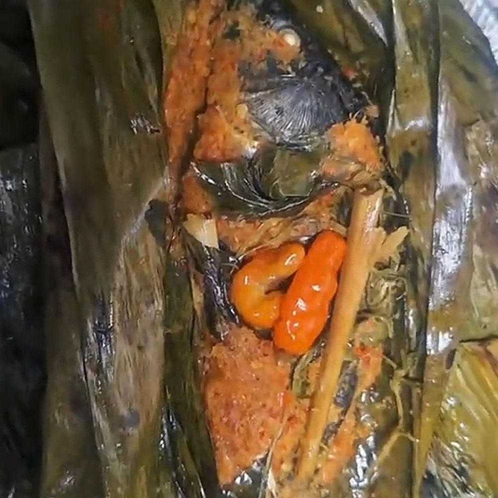 7 Resep olahan ikan mas pedas mantap dengan bumbu meresap, siap jadi bintang utama di meja makan