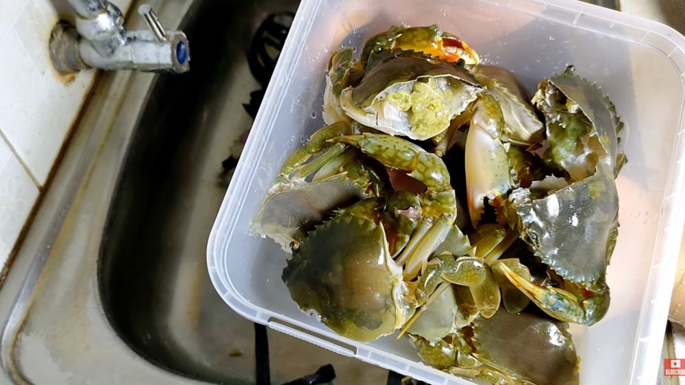 Cara membersihkan kepiting tanpa air panas, teknik cepat dan higienis