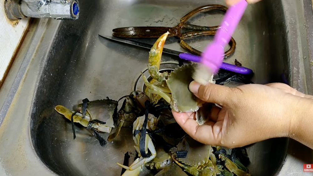 Cara membersihkan kepiting tanpa air panas, teknik cepat dan higienis
