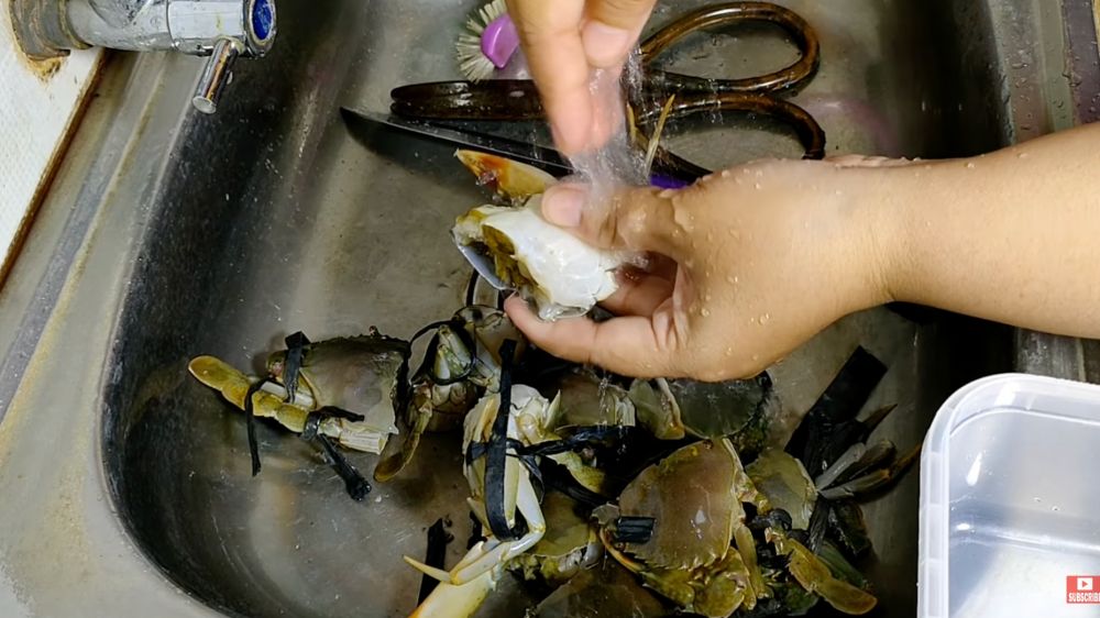 Cara membersihkan kepiting tanpa air panas, teknik cepat dan higienis