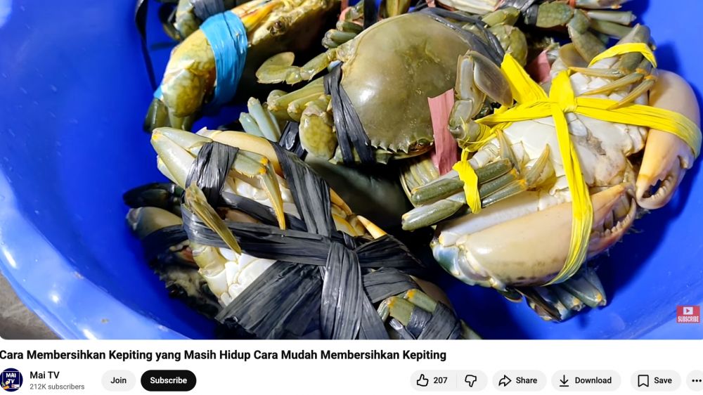 Cara membersihkan kepiting tanpa air panas, teknik cepat dan higienis