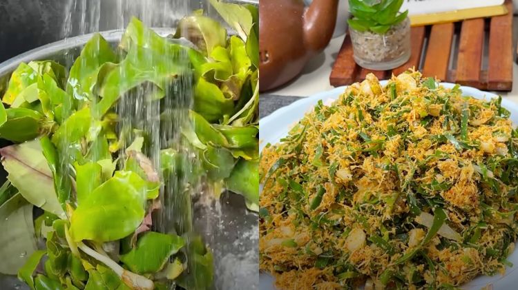 Cara membuat urap daun kencur yang lezat, tetap hijau segar, dan tak cepat basi
