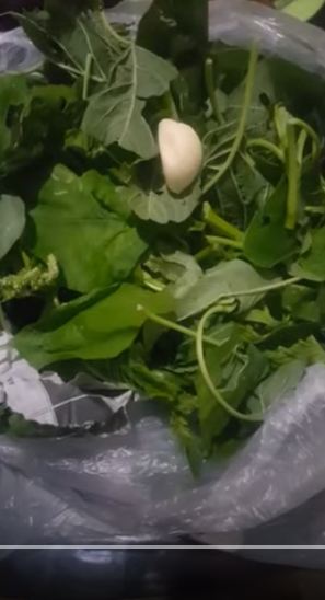 Cara simpan bayam tetap segar 10 hari tanpa kulkas, cukup pakai 1 bumbu dapur