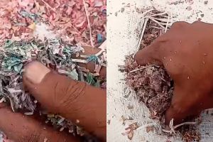 5 Potret limbah mirip cacahan uang Rp50-Rp100 ribu ditemukan di TPS liar Bekasi