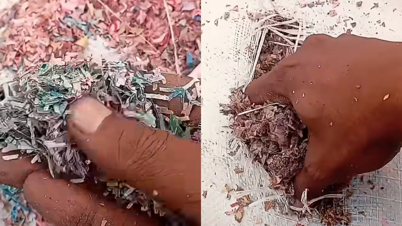 5 Potret limbah mirip cacahan uang Rp50-Rp100 ribu ditemukan di TPS liar Bekasi