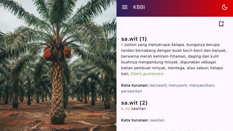 Badan Bahasa ubah definisi sawit jadi pohon, ilmu botani tunjukkan perbedaannya dengan pohon asli