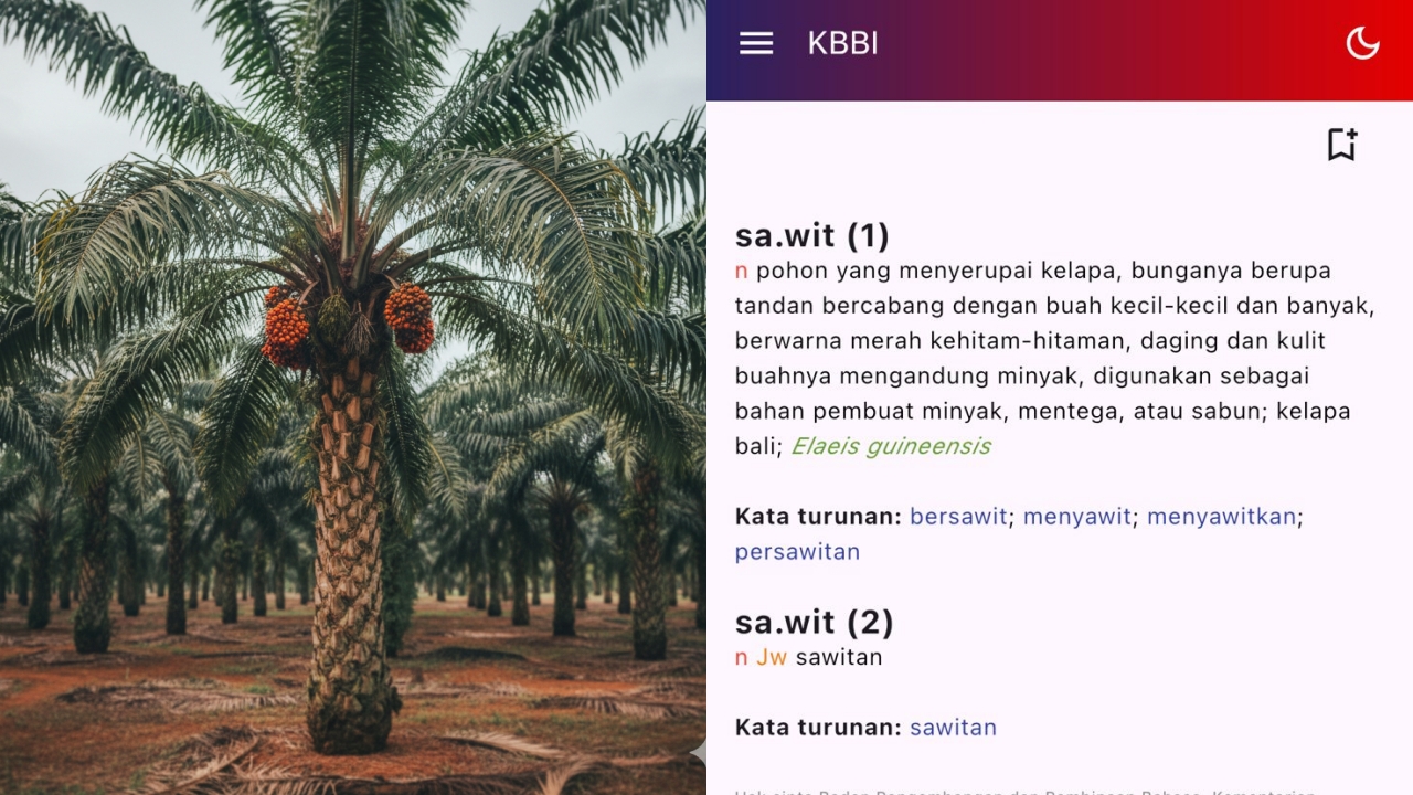 Badan Bahasa ubah definisi sawit jadi pohon, ilmu botani tunjukkan perbedaannya dengan pohon asli