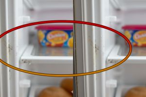 Jangan dikerok! Ini cara mudah basmi jamur kulkas pakai bahan simpel Rp5.000-an