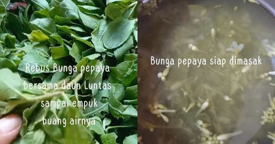 Cara ampuh hilangkan pahit bunga pepaya tanpa garam, cukup pakai 1 daun ini