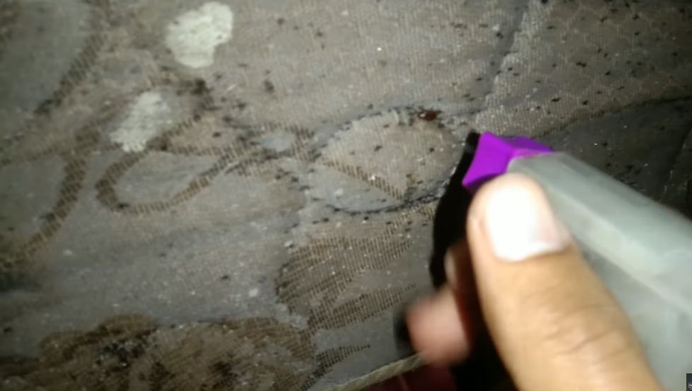 Basmi kutu kasur sampai tuntas, cukup semprot 2 bahan dapur tanpa jemur