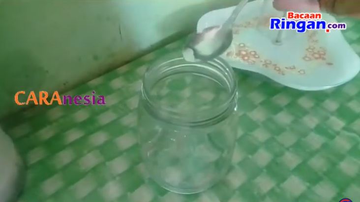 Tutorial perangkap cicak sederhana tanpa bahan kimia, cukup pakai bahan dapur