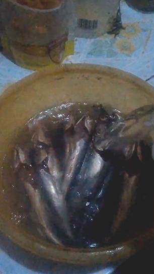 Jangan langsung dimasak! Lakukan cara ini untuk buang pengawet berbahaya pada ikan