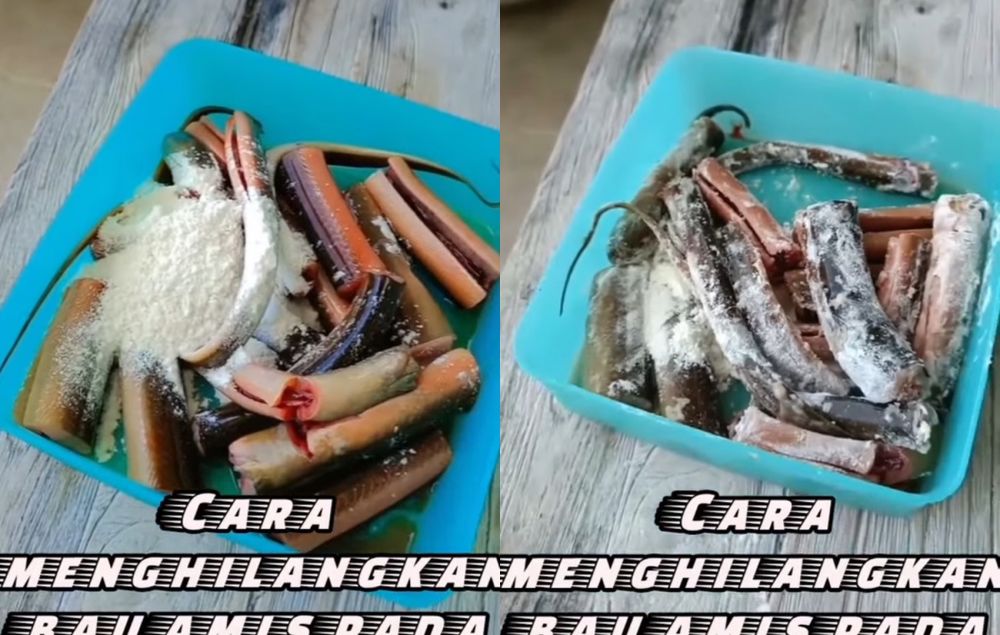 Cara praktis menghilangkan lendir belut, rahasia dapur sederhana hasil maksimal