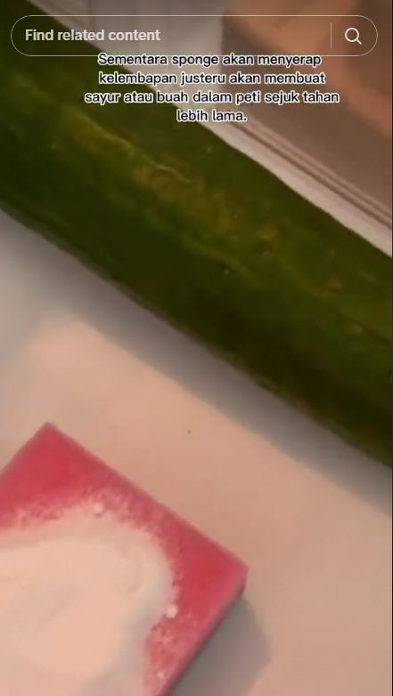 Kulkas wangi dan awet: Trik rahasia hilangkan bau tak sedap pakai spons dan baking soda