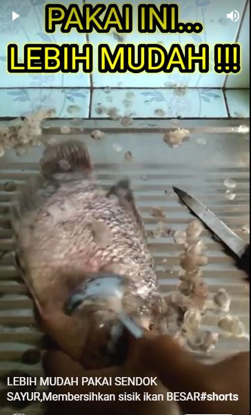 Cara aman membersihkan sisik ikan gurame tanpa takut terluka