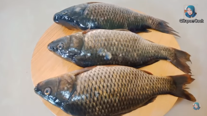 Ide cerdas bersihkan sisik ikan menggunakan timun, sisik langsung rontok