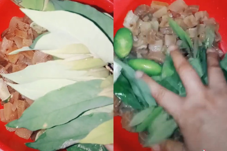 Dahsyatnya daun belimbing wuluh bantu hilangkan bau kikil untuk menu Lebaran